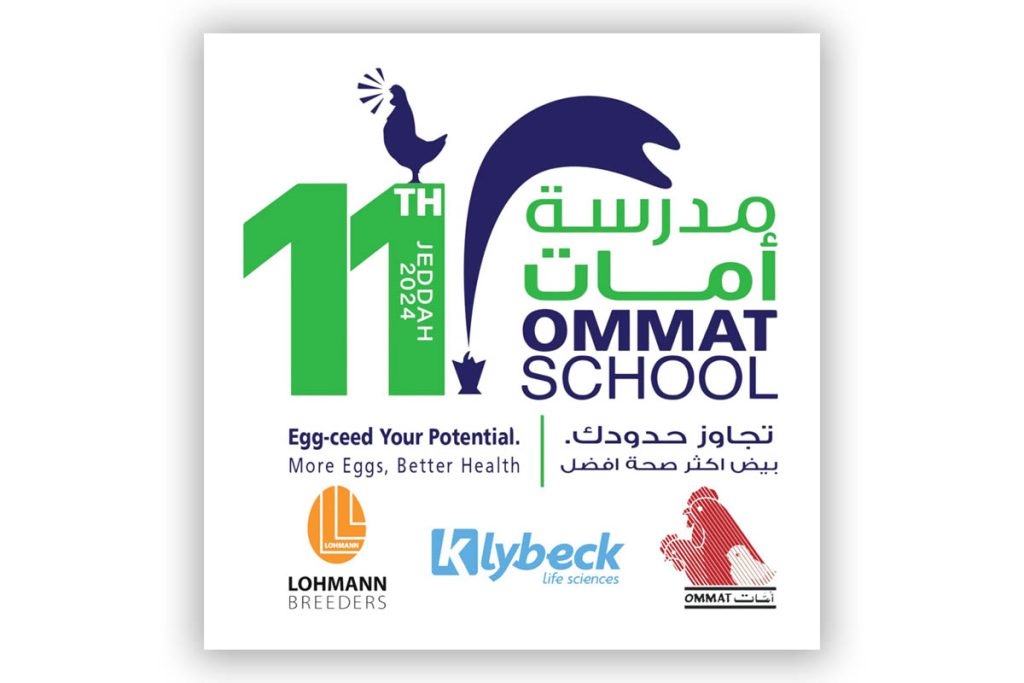 ommat-shcool-11-d